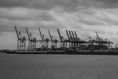 Free Black and white image of cranes at a port under a cloudy sky. Stock Photo