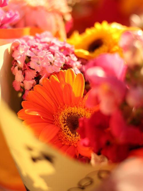 Free Bright and colorful close-up of a vibrant floral bouquet featuring orange gerbera daisy. Stock Photo