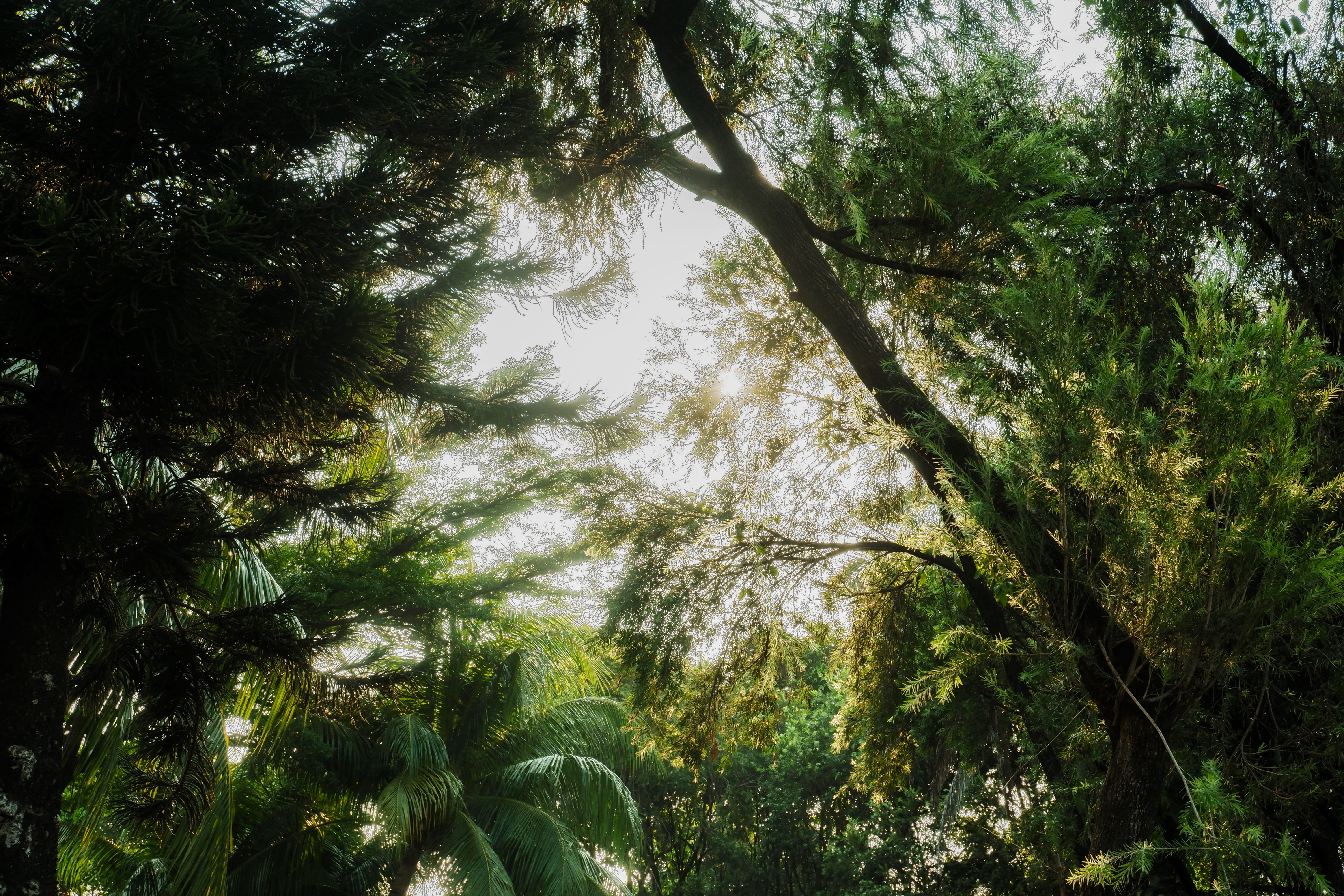 Jardín Botánico de Turbaco