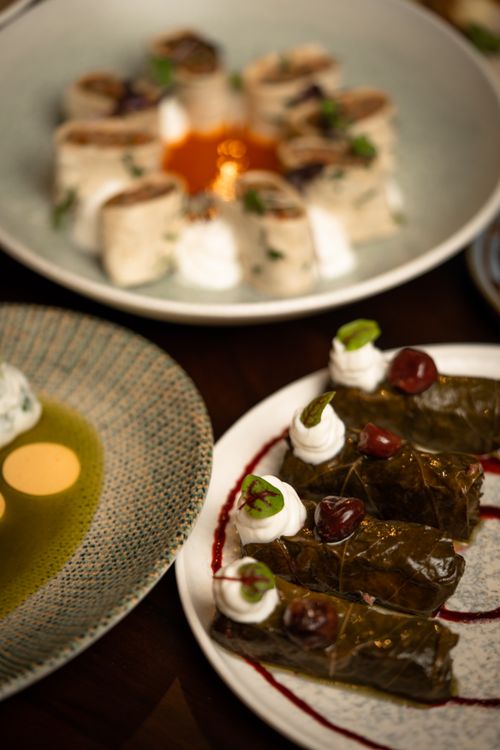 Free High-angle view of plated stuffed grape leaves with gourmet garnishing. Stock Photo