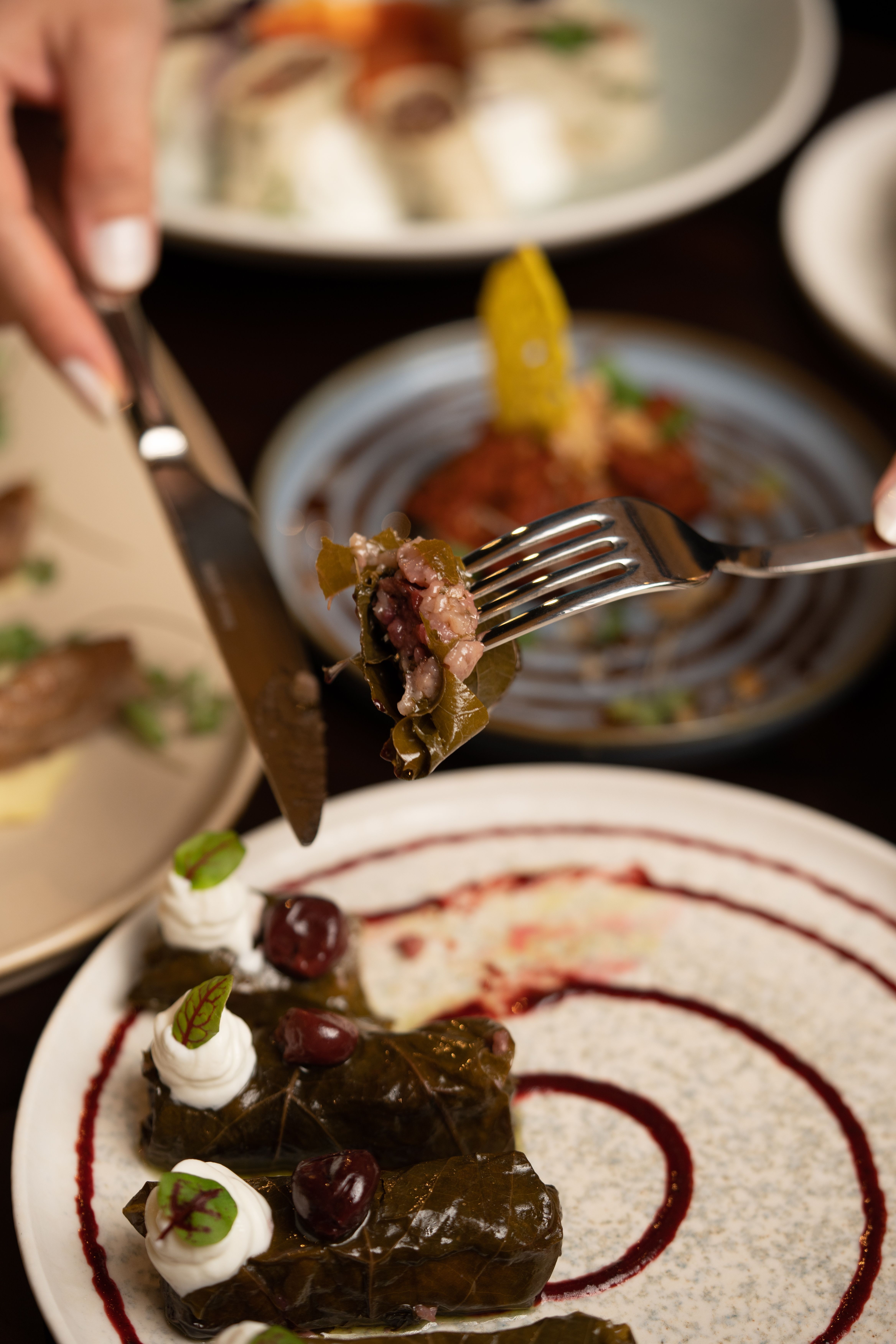 Close-up of a gourmet dining experience featuring stuffed grape leaves.