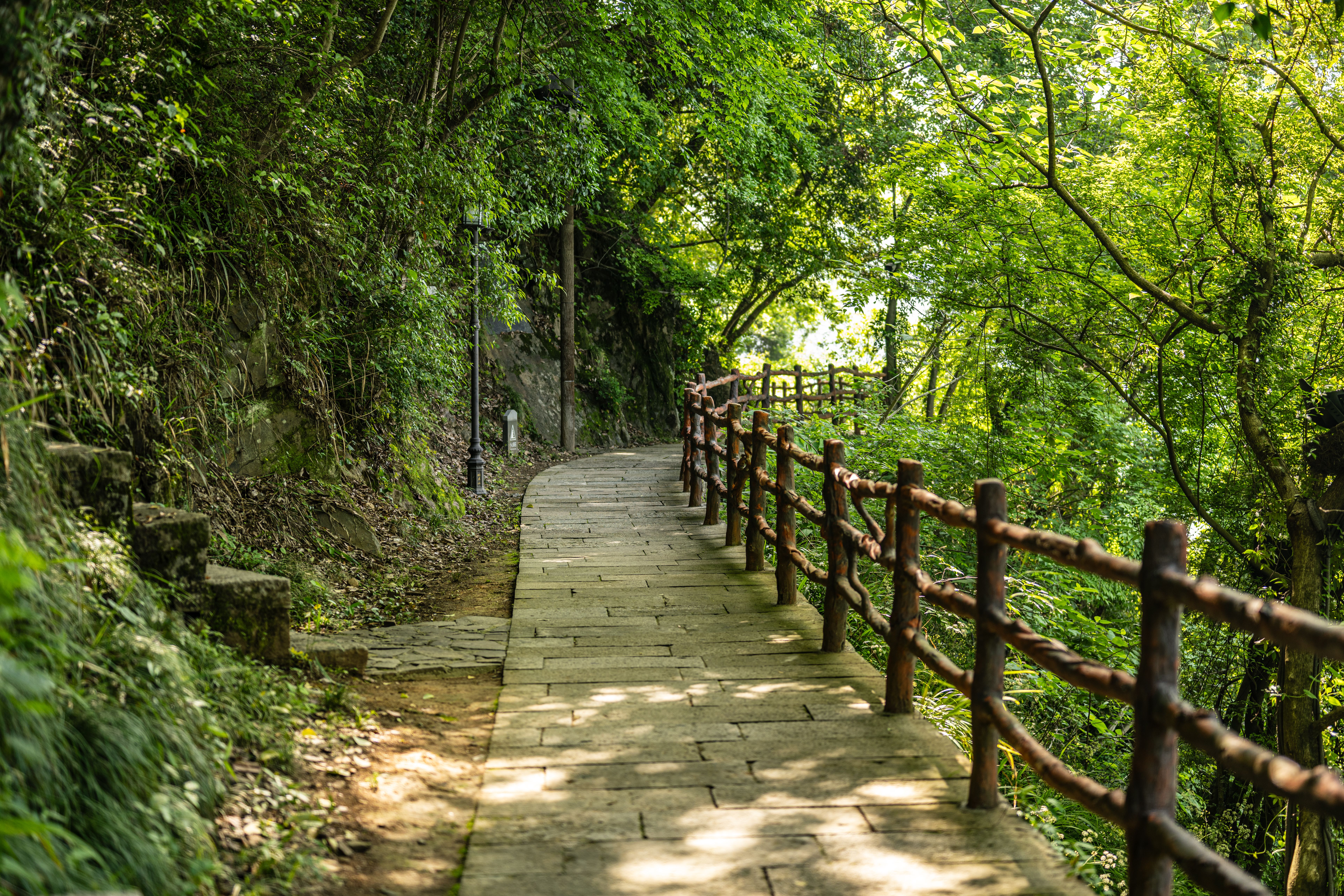 Social rules as a discovery path to streaming and gaming — Photo by Qing Luo on Pexels