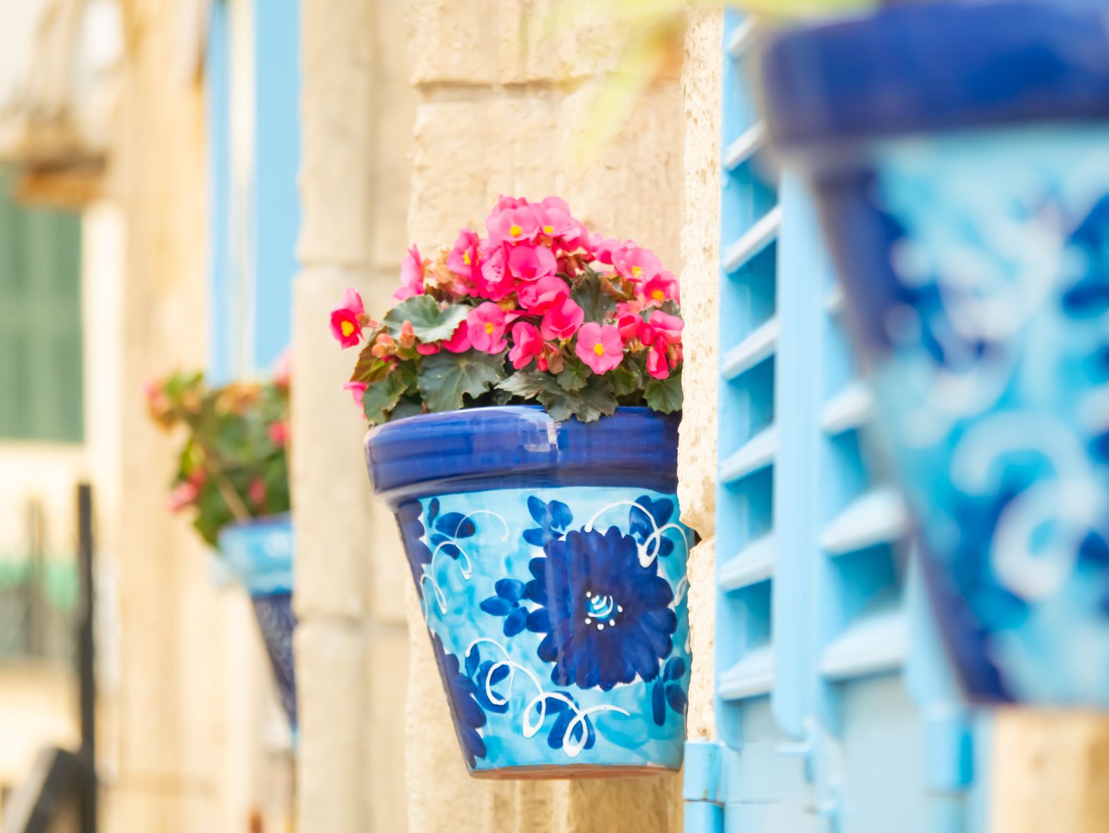Potted Palette - A Planter Pot Painting Workshop Experience