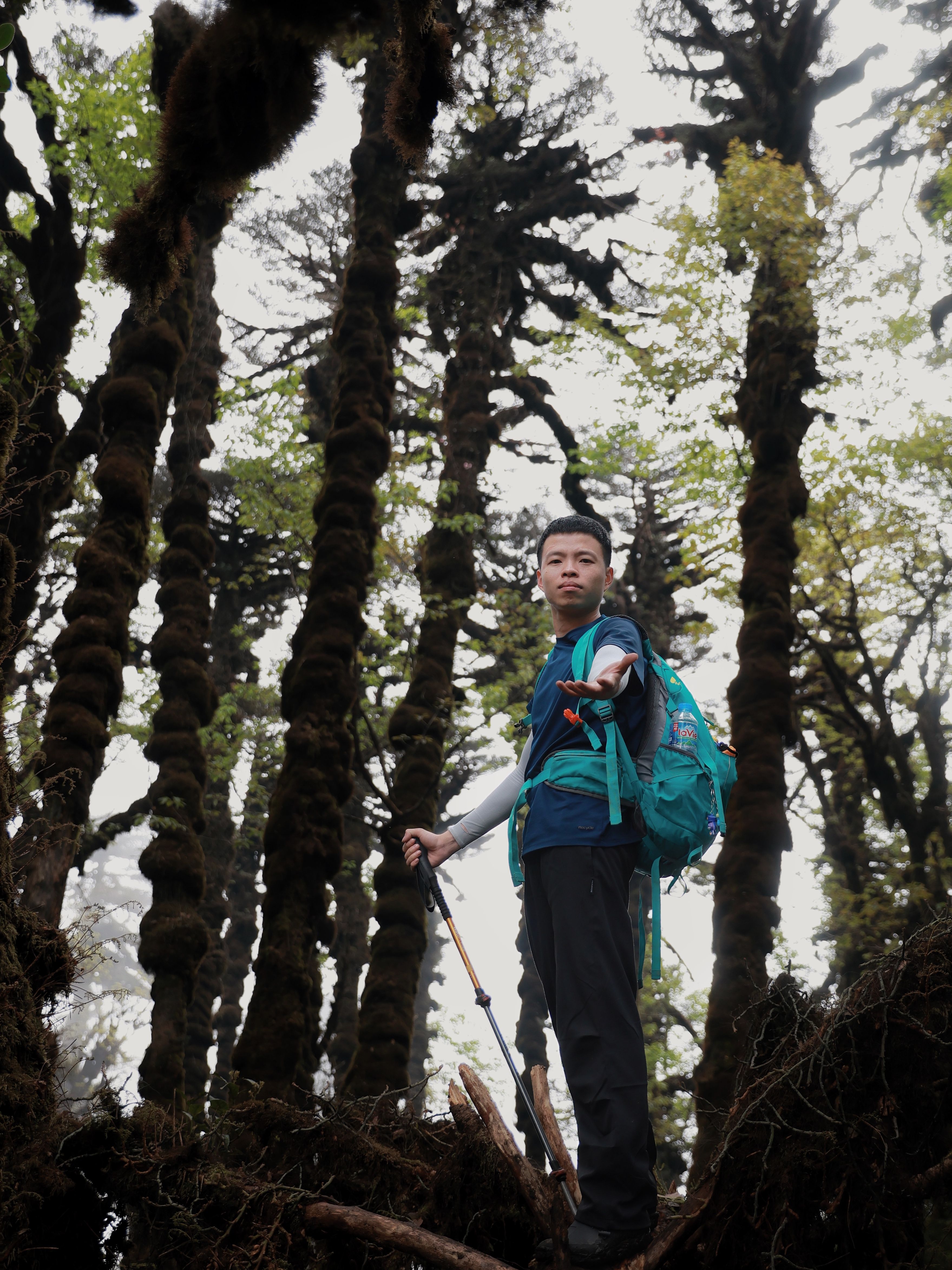 Adventurous Hiker in Lush Forest Setting · Free Stock Photo