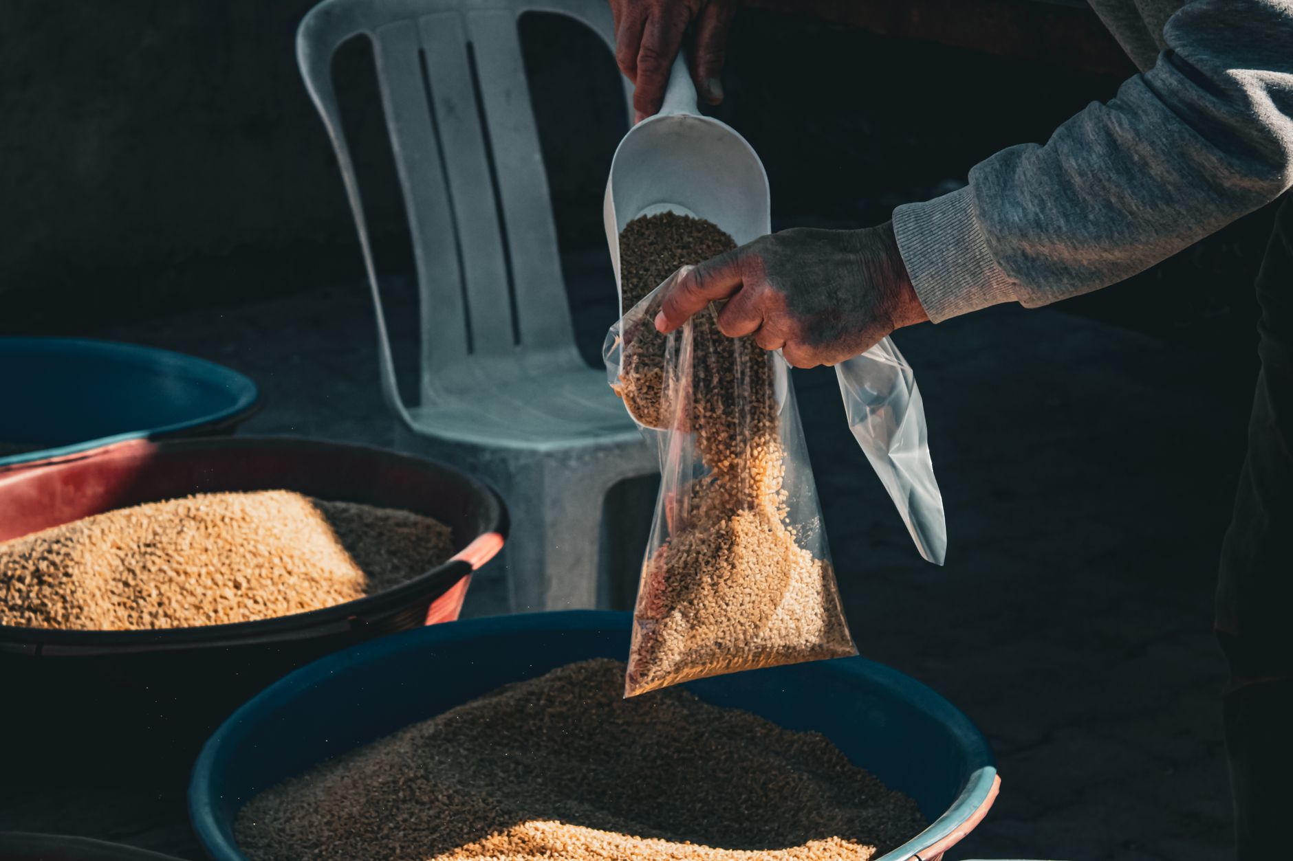 Protein Prices Level Off But Remain High at £100 per Bag