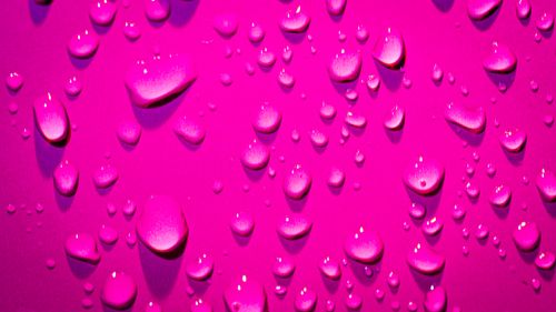 Free Close-up of water droplets on a vivid pink background creating a lively abstract pattern. Stock Photo