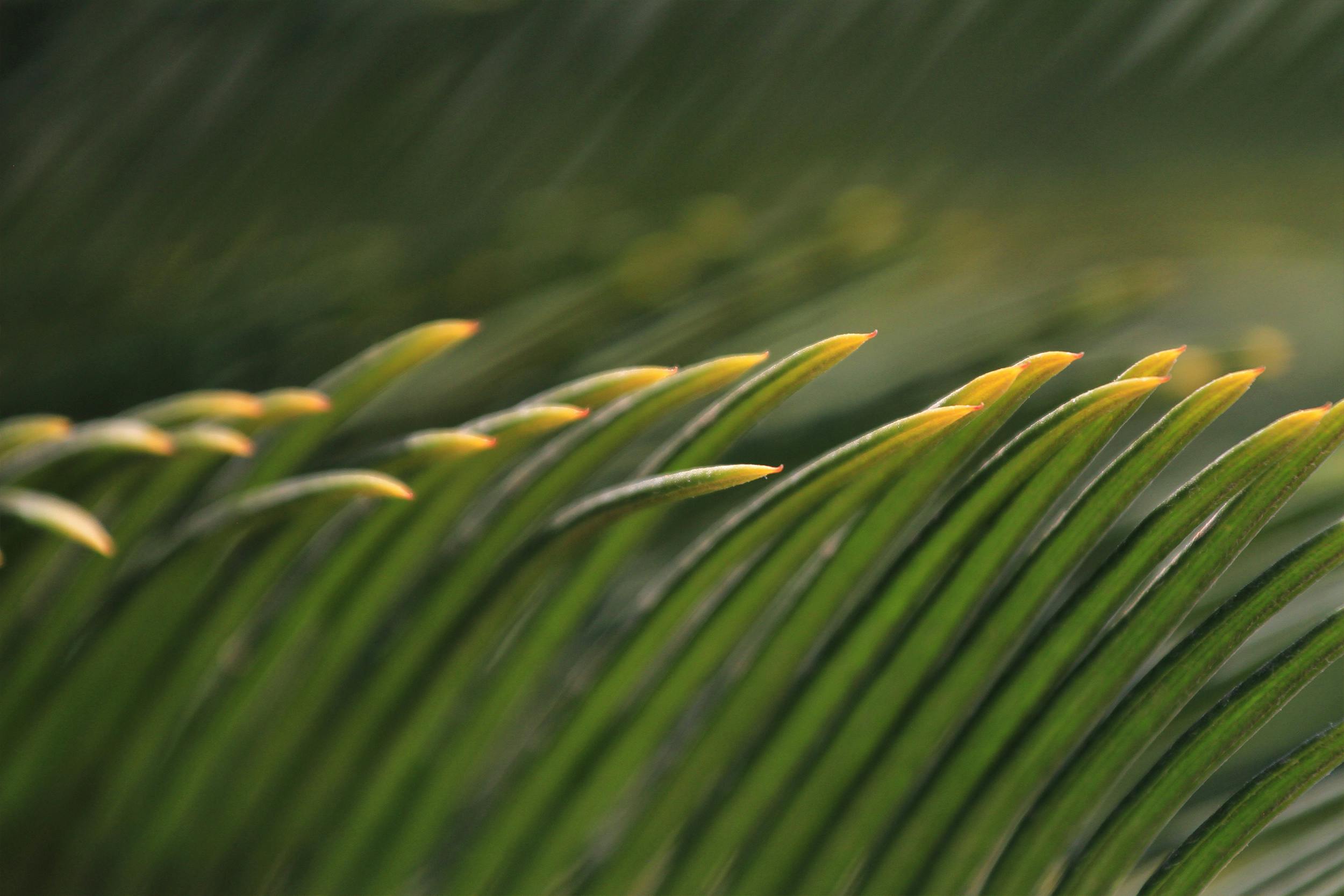 beauty tips — Photo by Сокіл Sokil on Pexels
