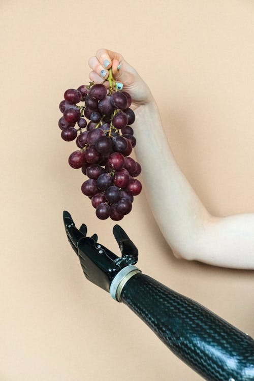 Person Holding Bunch of Purple Grapes