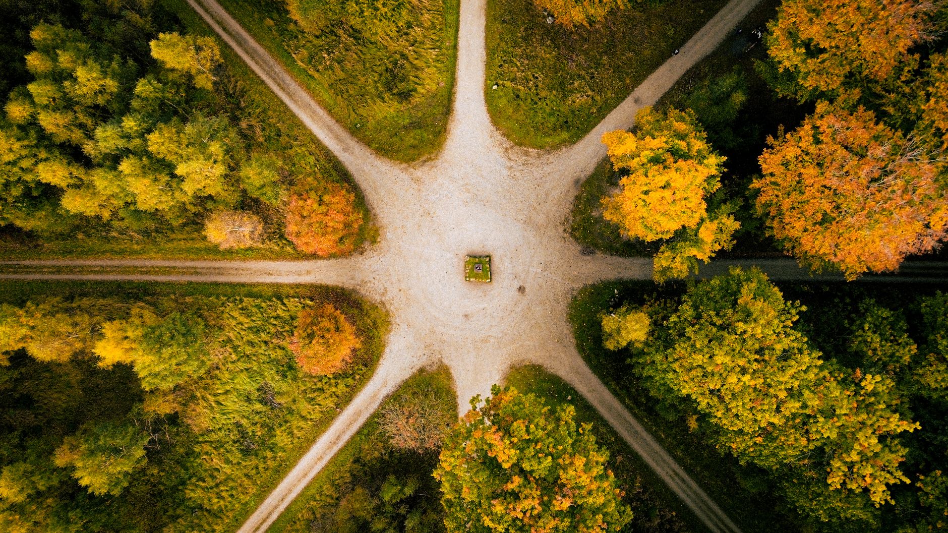 俯瞰森林岔路與秋葉景緻,象徵職涯轉折的選擇