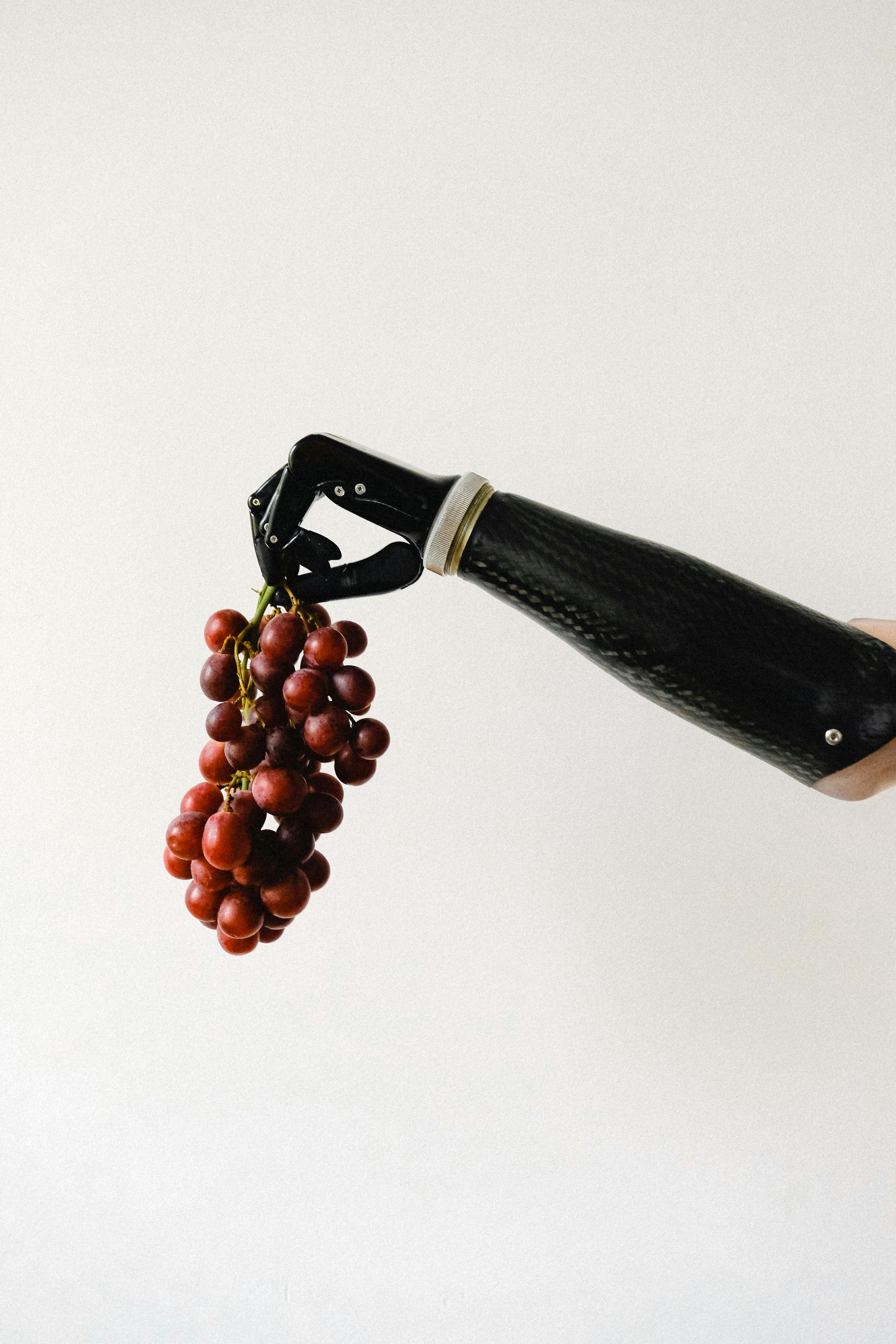 Close-up of a prosthetic arm gripping a bunch of fresh red grapes, showcasing innovation and health.