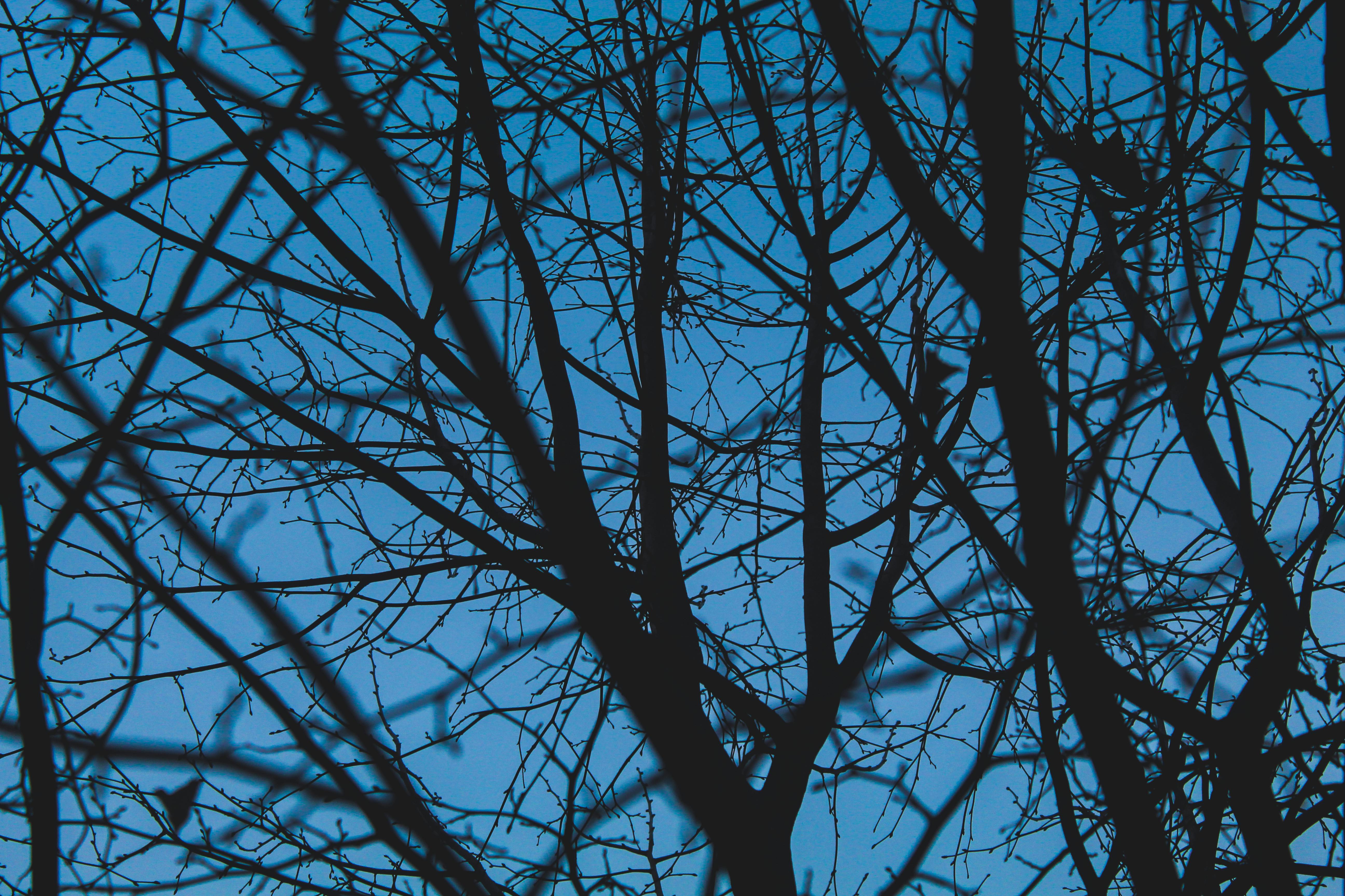 Silhouette of couple embracing intimately near rain-streaked window at night, passionate closeness