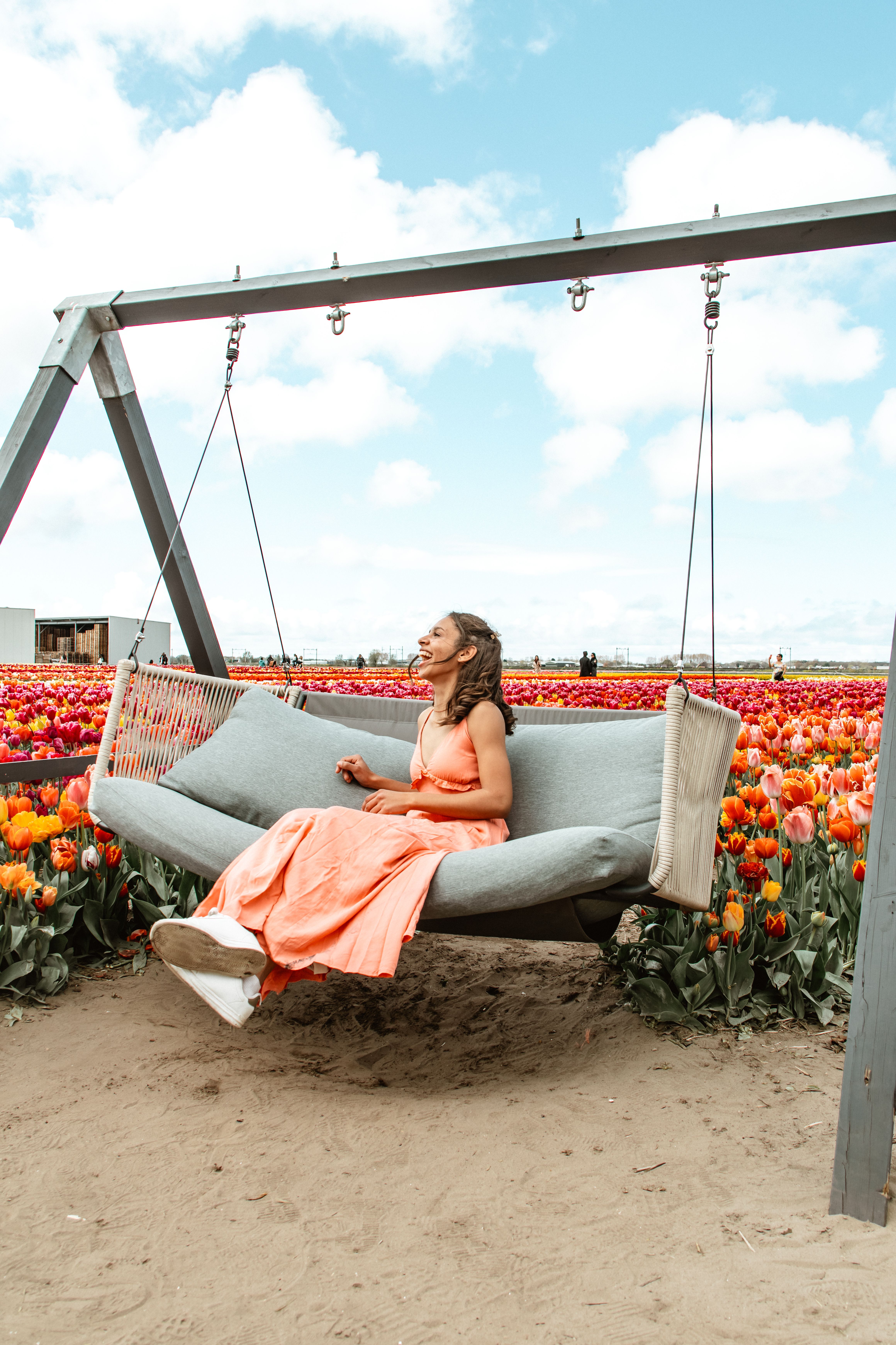 Tulip fields