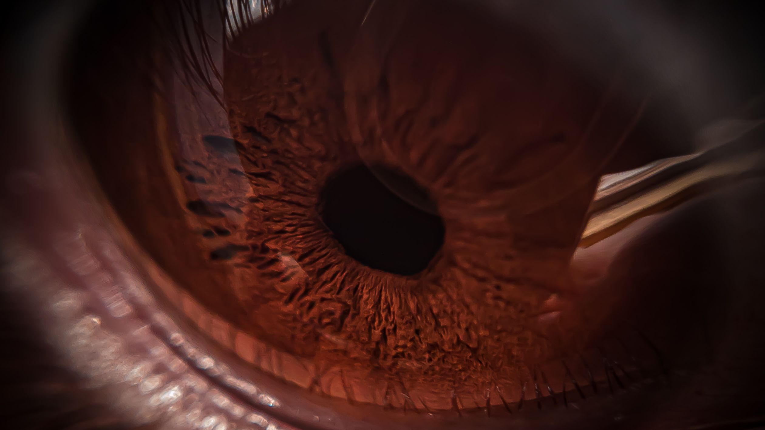 Close Up Photography Of Brown Eye Free Stock Photo close-up-photography-of-brown-eye-free-stock-photo