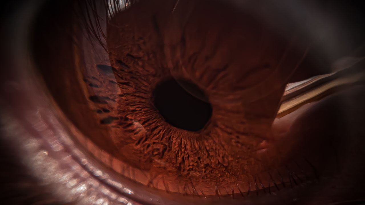 detailed close up image of a brown eye emphasizing the iris texture in