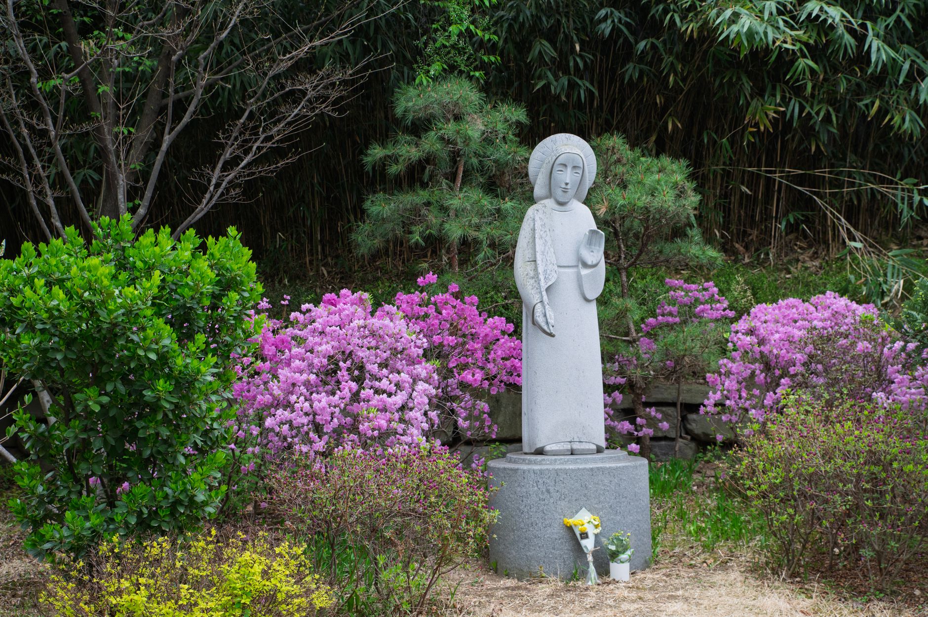 A peaceful garden scene featuring a stone statue surrounded by vibrant pink azaleas.