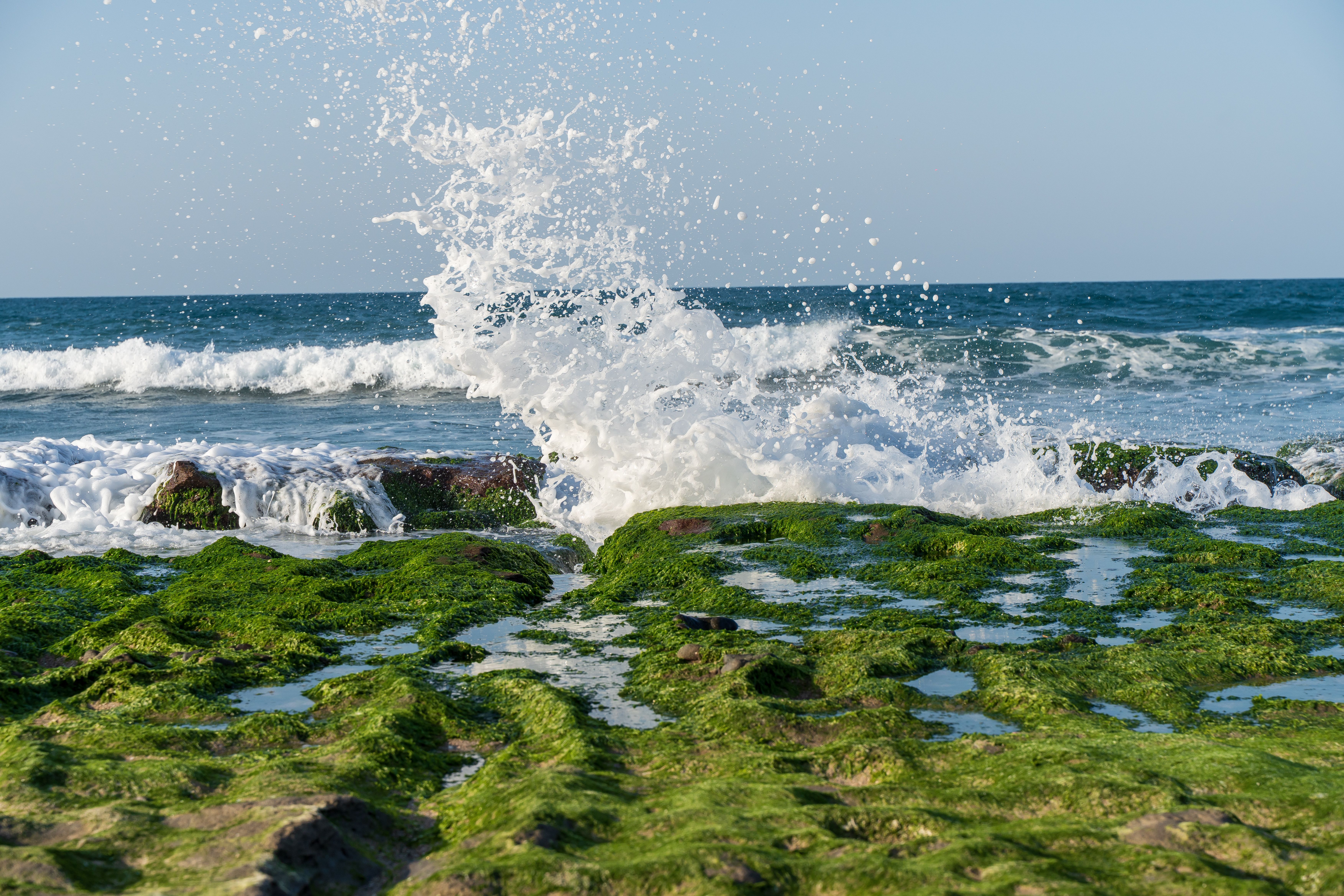 Vai Siʻi Coastal Shore view 2