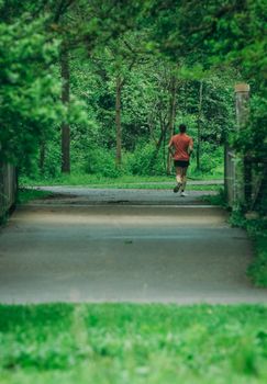 A solitary man jogging on a forest pathway surrounded by lush greenery, embodying a serene outdoor exercise scene.