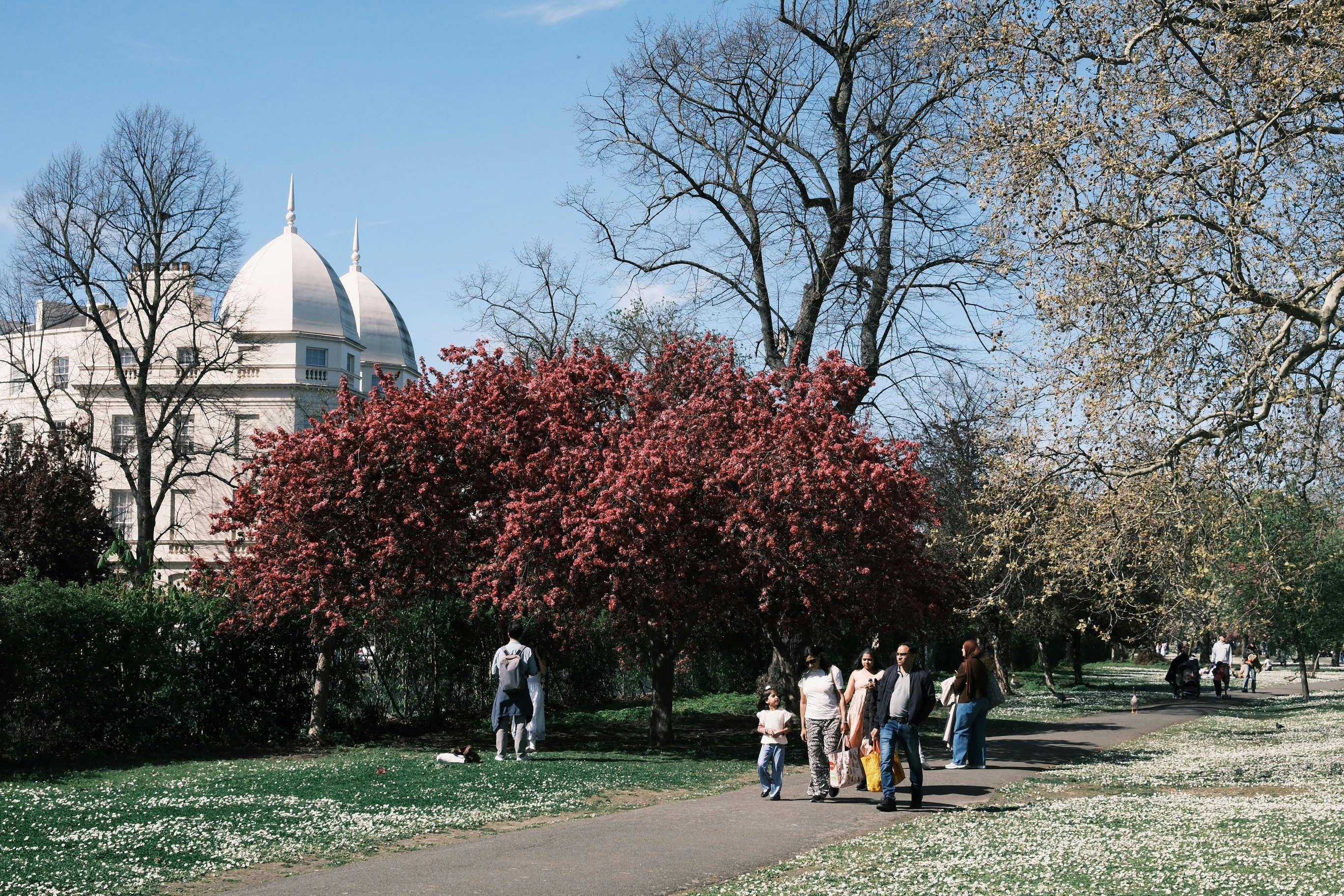 Board of Regents proposes general education requirements across Universities of Wisconsin — Photo by Mingyang LIU on Pexels