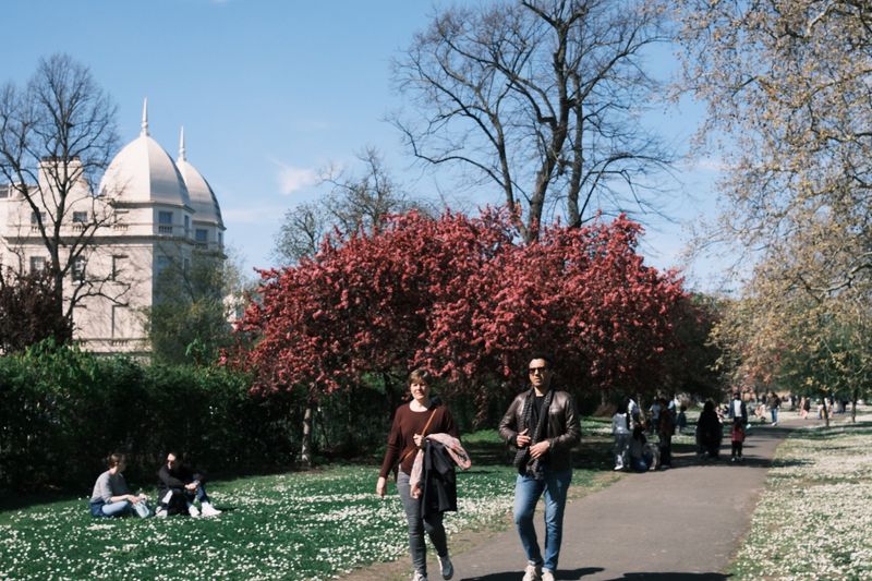 People enjoying a sunny spring day in a city park with blooming trees and historic architecture.