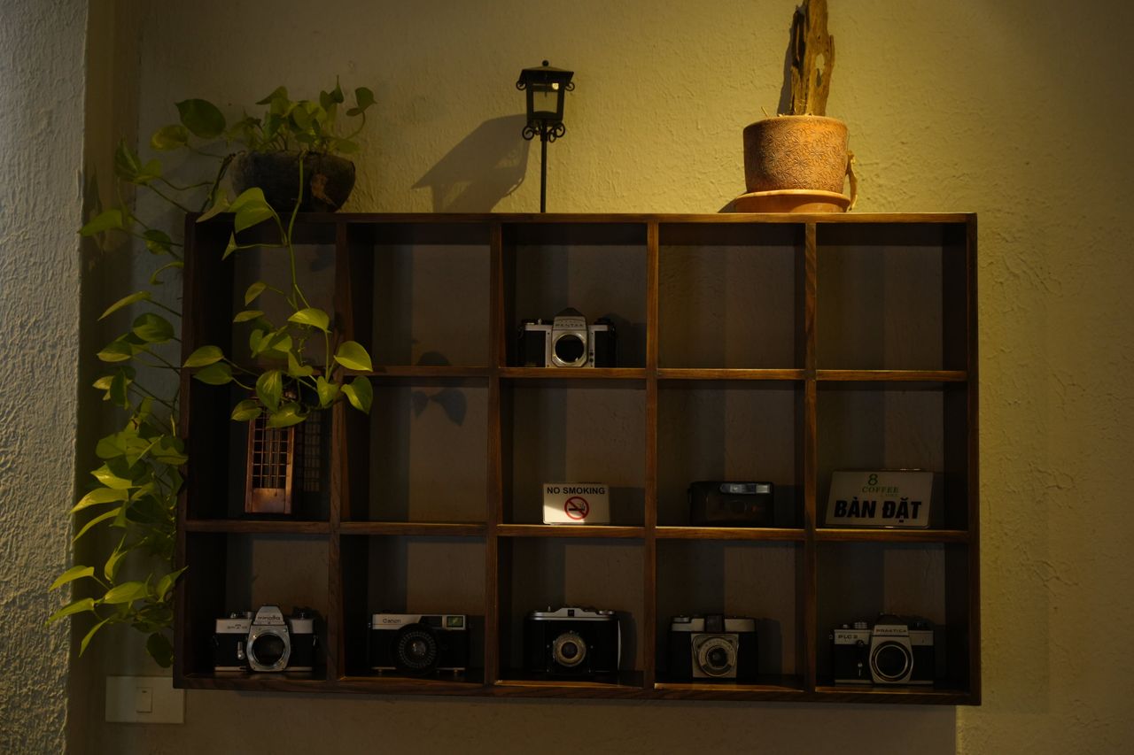 wooden shelf with vintage cameras plants and decor creating a classic