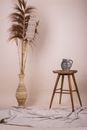 Dried Plants in Ceramic Vase and Jug on Wooden Stool