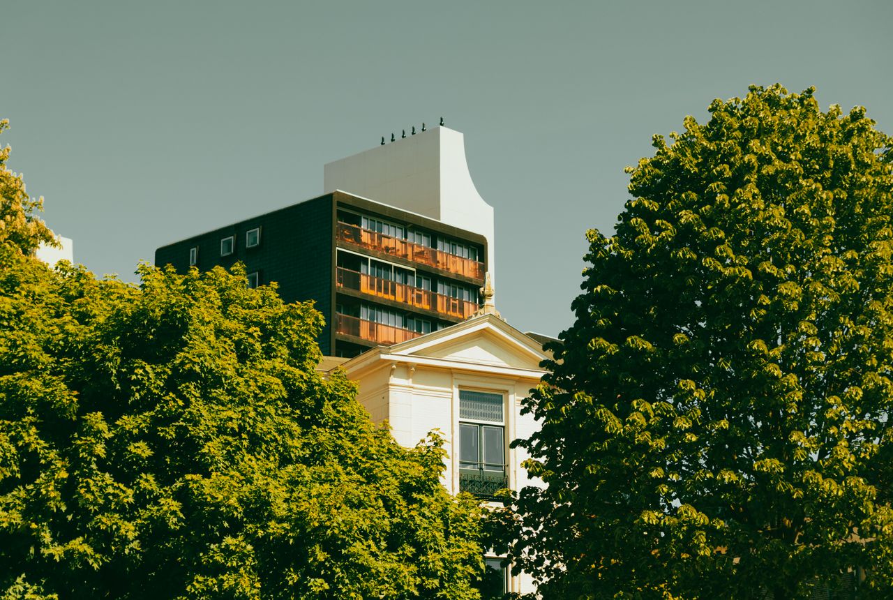 Student removals Matlock — removals work in progress