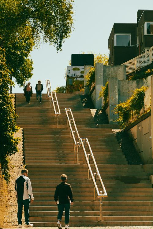 Free People walking up and down a sunlit urban staircase surrounded by greenery and buildings. Stock Photo