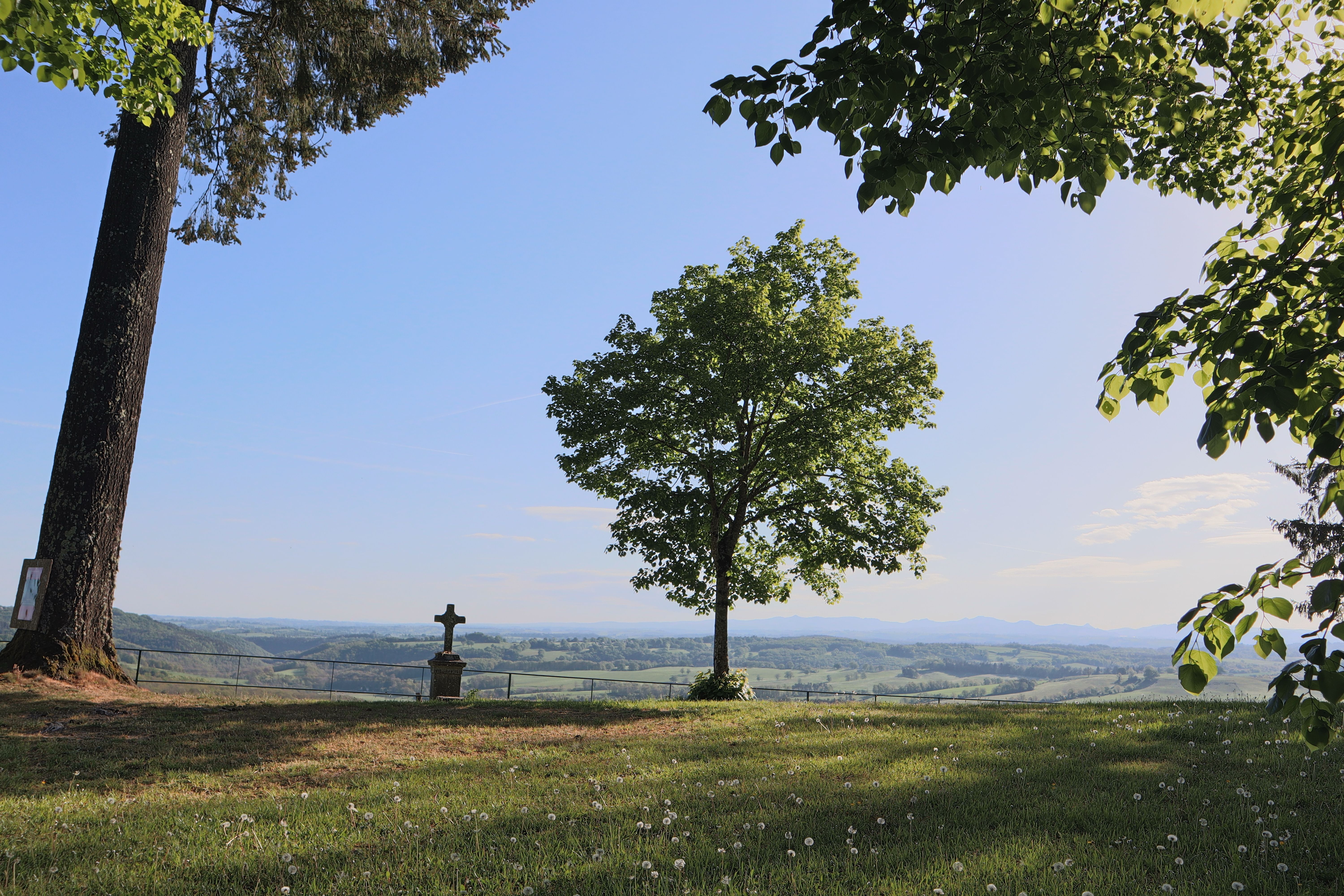 Peaceful Scenic Landscape with Lone Tree and Cross · Free Stock Photo