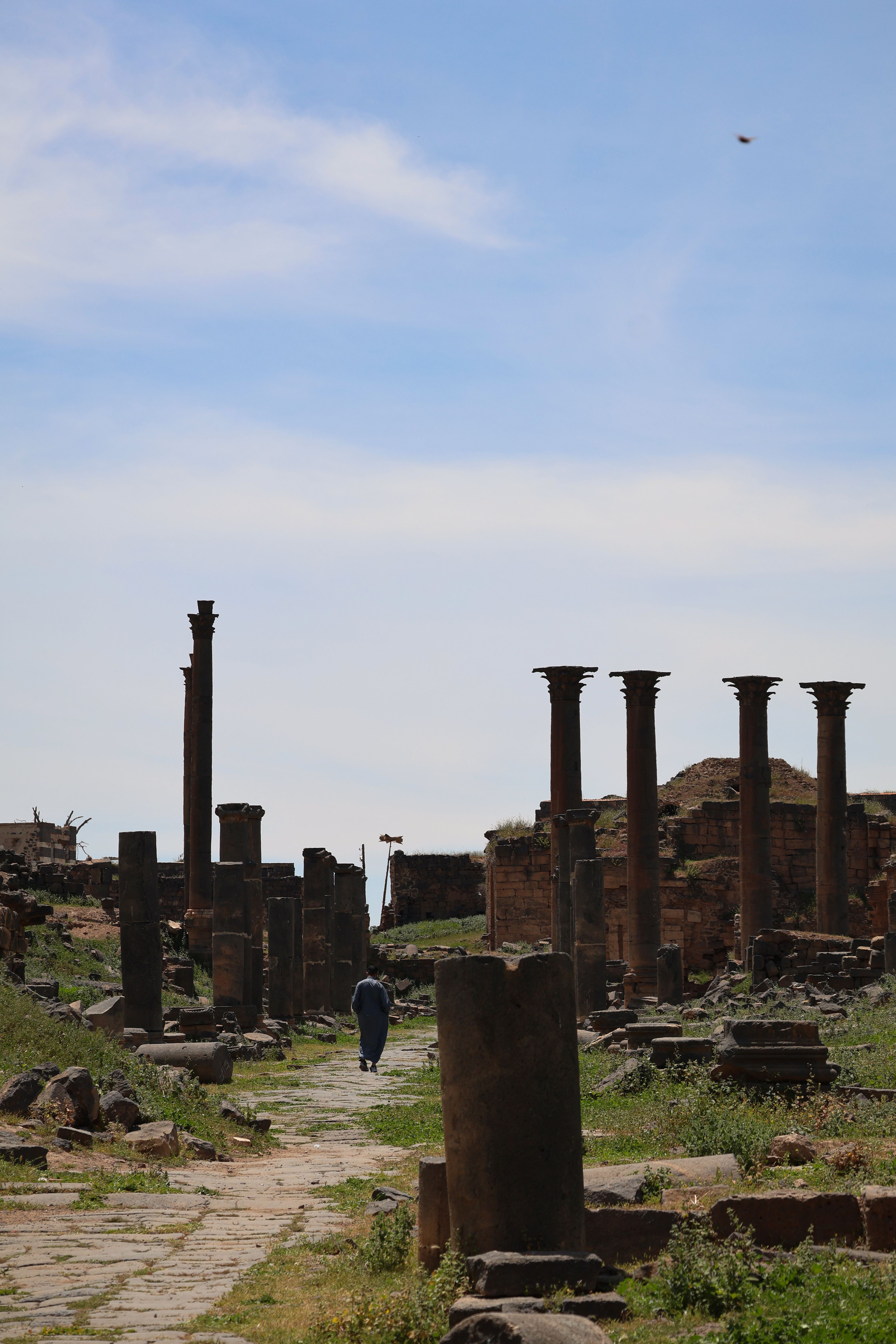 Ancient Roman Ruins with Stone Columns · Free Stock Photo