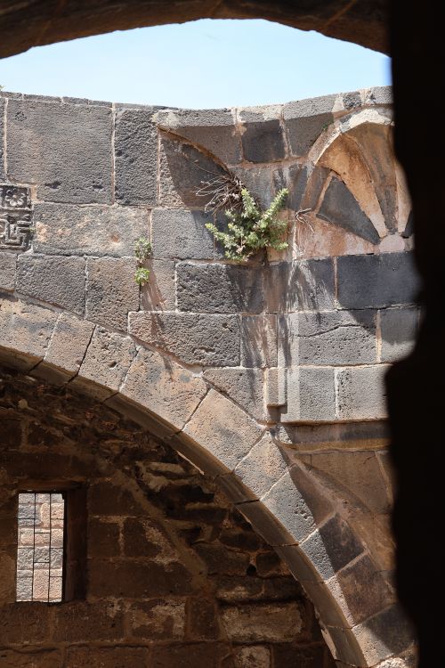 Free Ancient stone archway with greenery, showcasing historic architecture and serene charm. Stock Photo