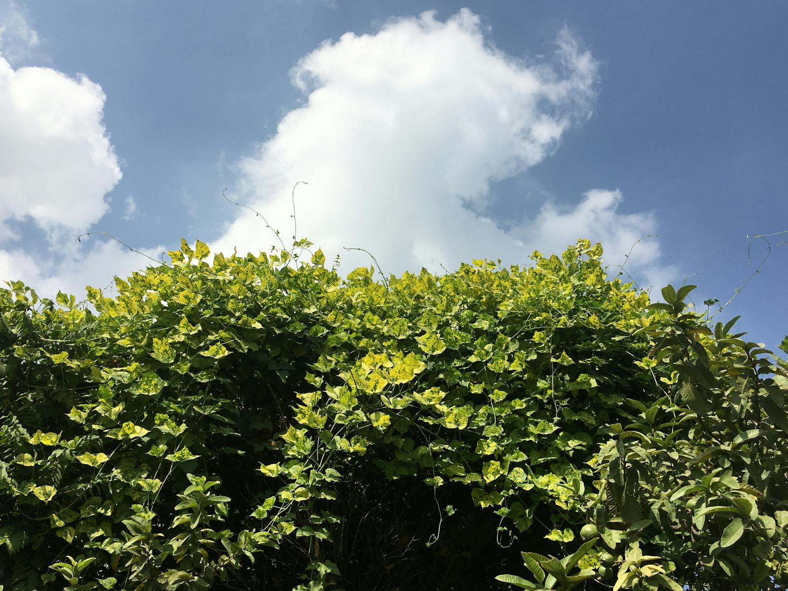 โรงงานและเครื่องจักร ผู้ประกอบการที่ต้องปฏิบัติตามกฎหมายเสียง