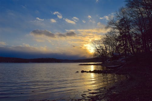 Free Shore Surrounded by Trees during Sunset Stock Photo