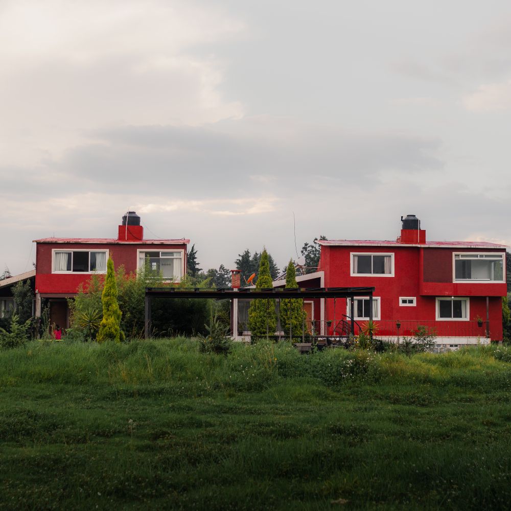 Exterior Painting in Cockfosters — woodwork brushed to a crisp, smooth line