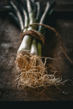 Aesthetic shot of bunch of fresh green onions with roots tied in twine on a wooden table, evoking rustic charm.