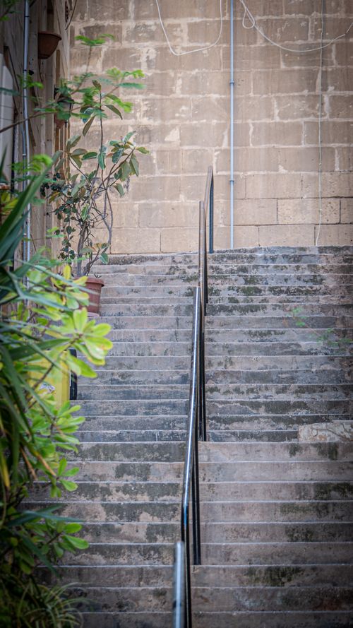 Free Stone staircase outdoors with lush greenery and textured wall background. Stock Photo