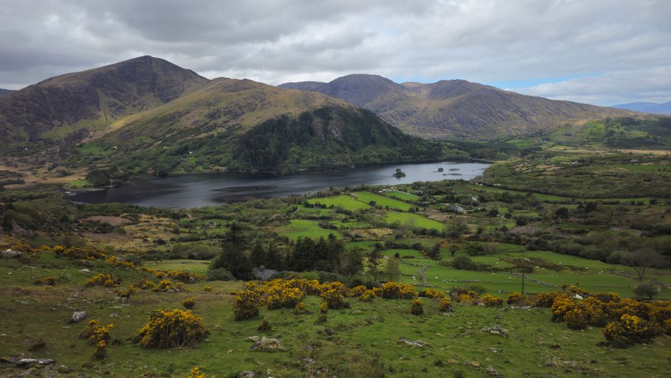 Peut-on vivre en Irlande sans parler anglais ?
