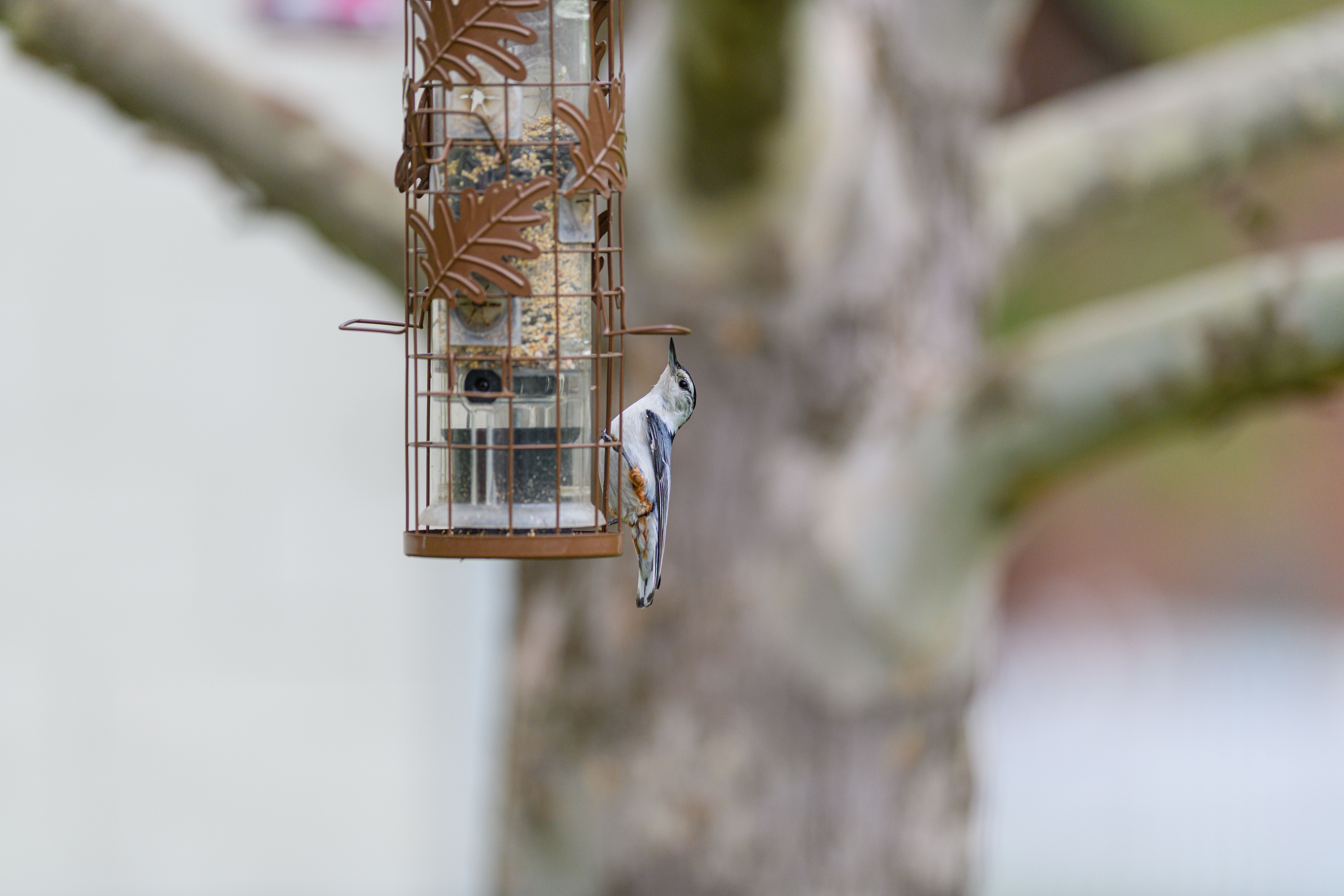 small habit natural light lifestyle photo 2