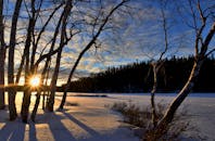 冬日日落的美景中，树木在雪地上投下长长的影子