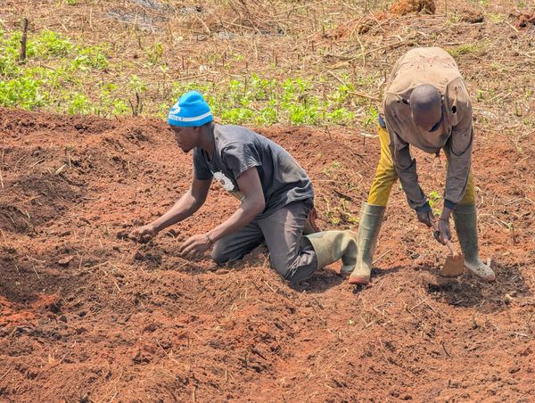 Rainwater Harvesting Ahead of the Dry Season — Green Revolution Farmers