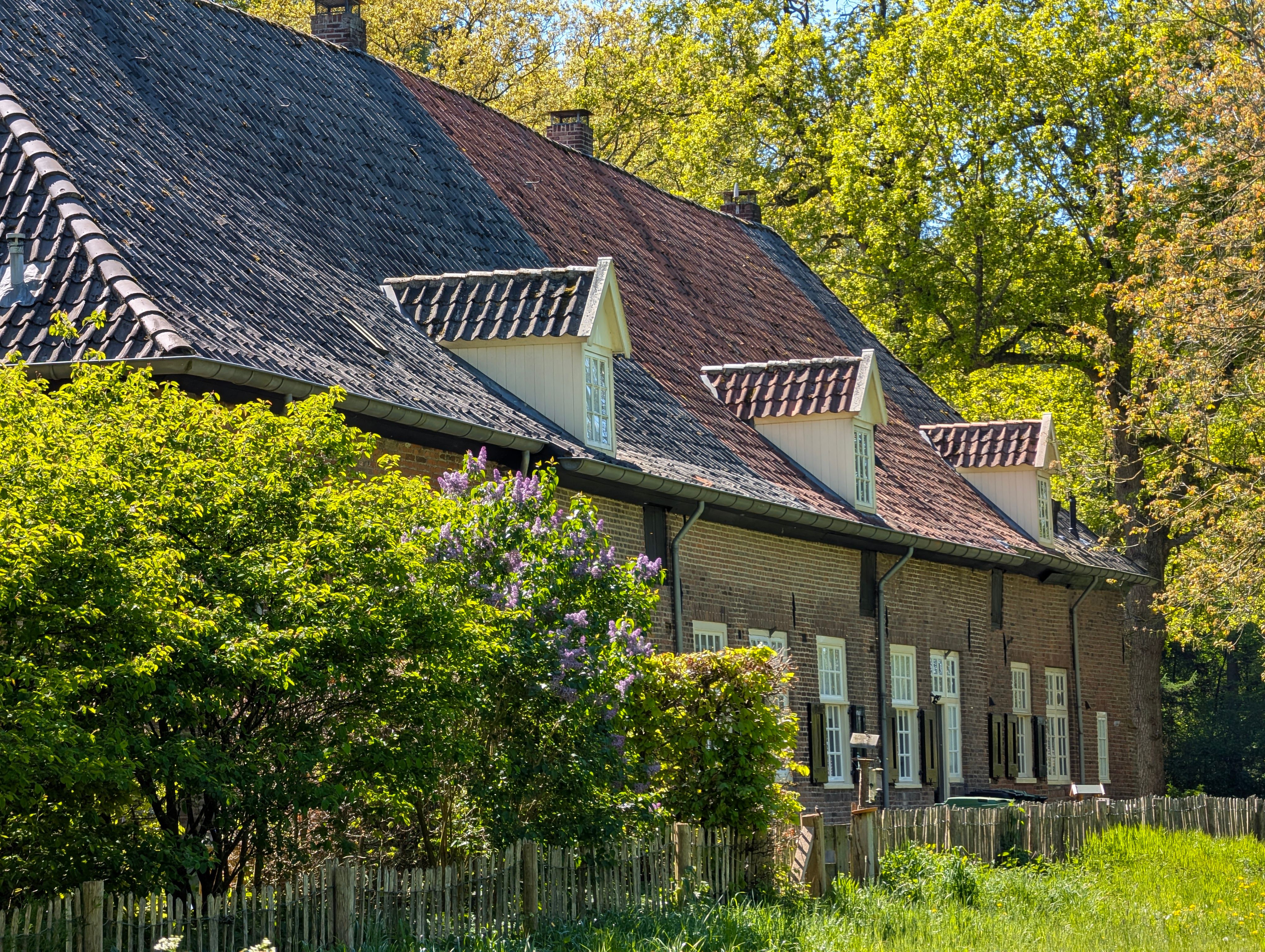 Traditionele Nederlandse dorpsstraat met historische gebouwen