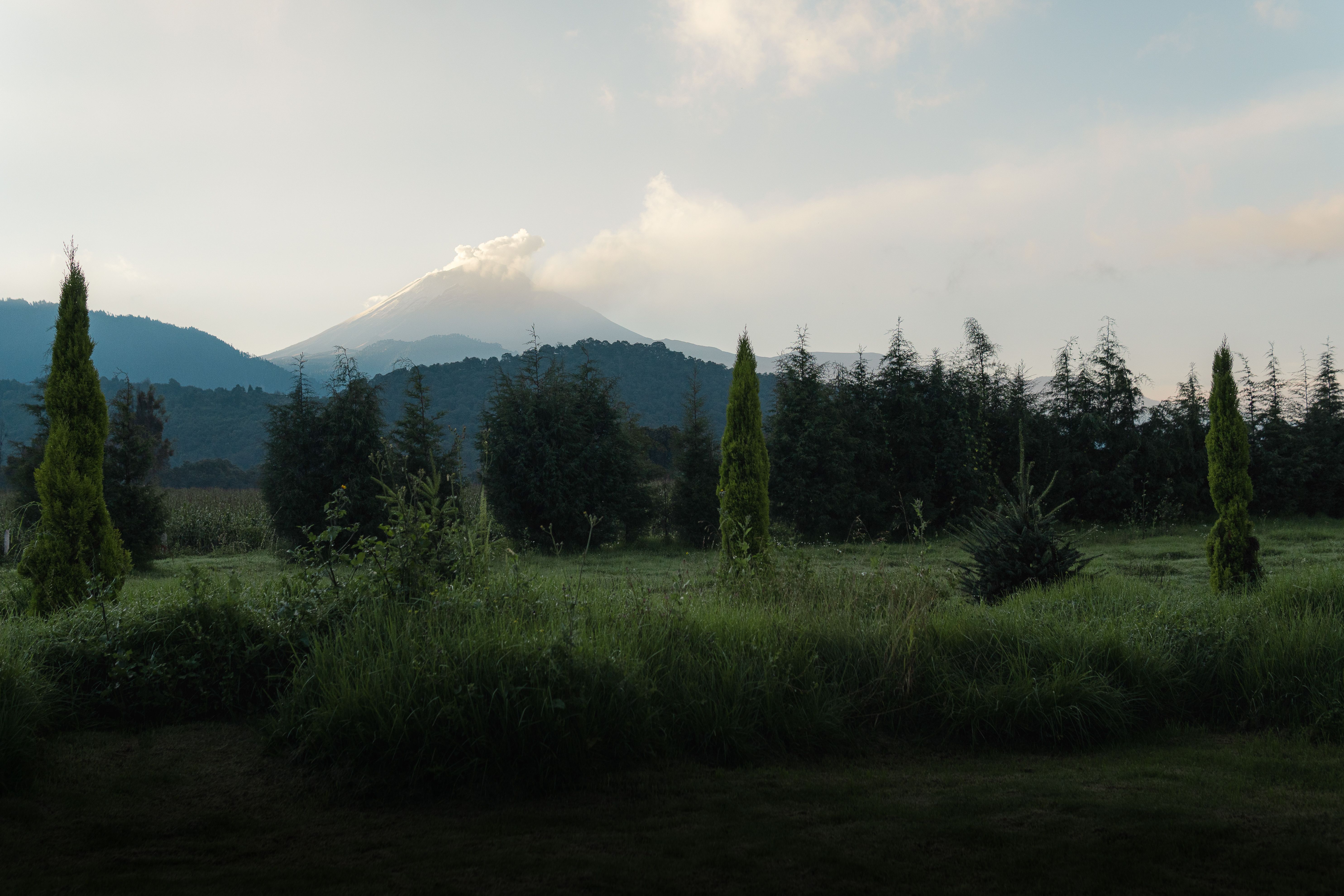Lush green meadow with a large volcanic mountain in the background under a cloudy sky.