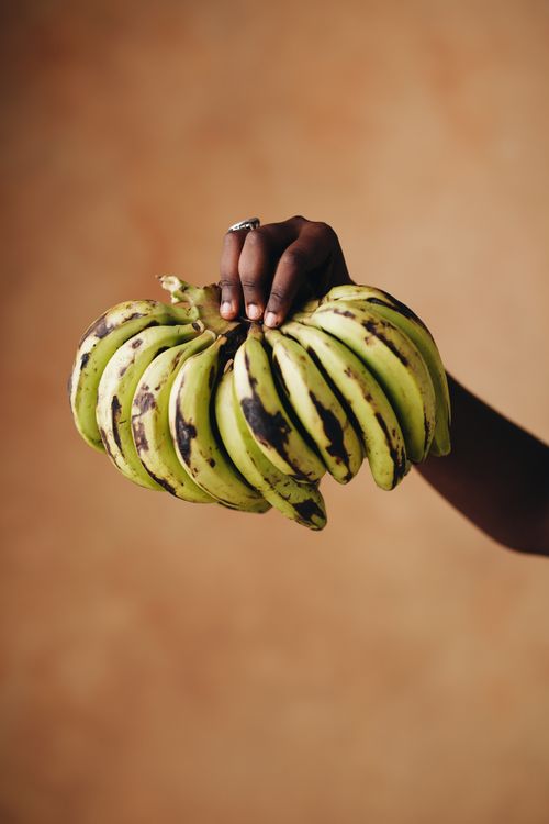 Free A close-up of a hand holding a bunch of fresh green bananas against a soft brown background. Stock Photo