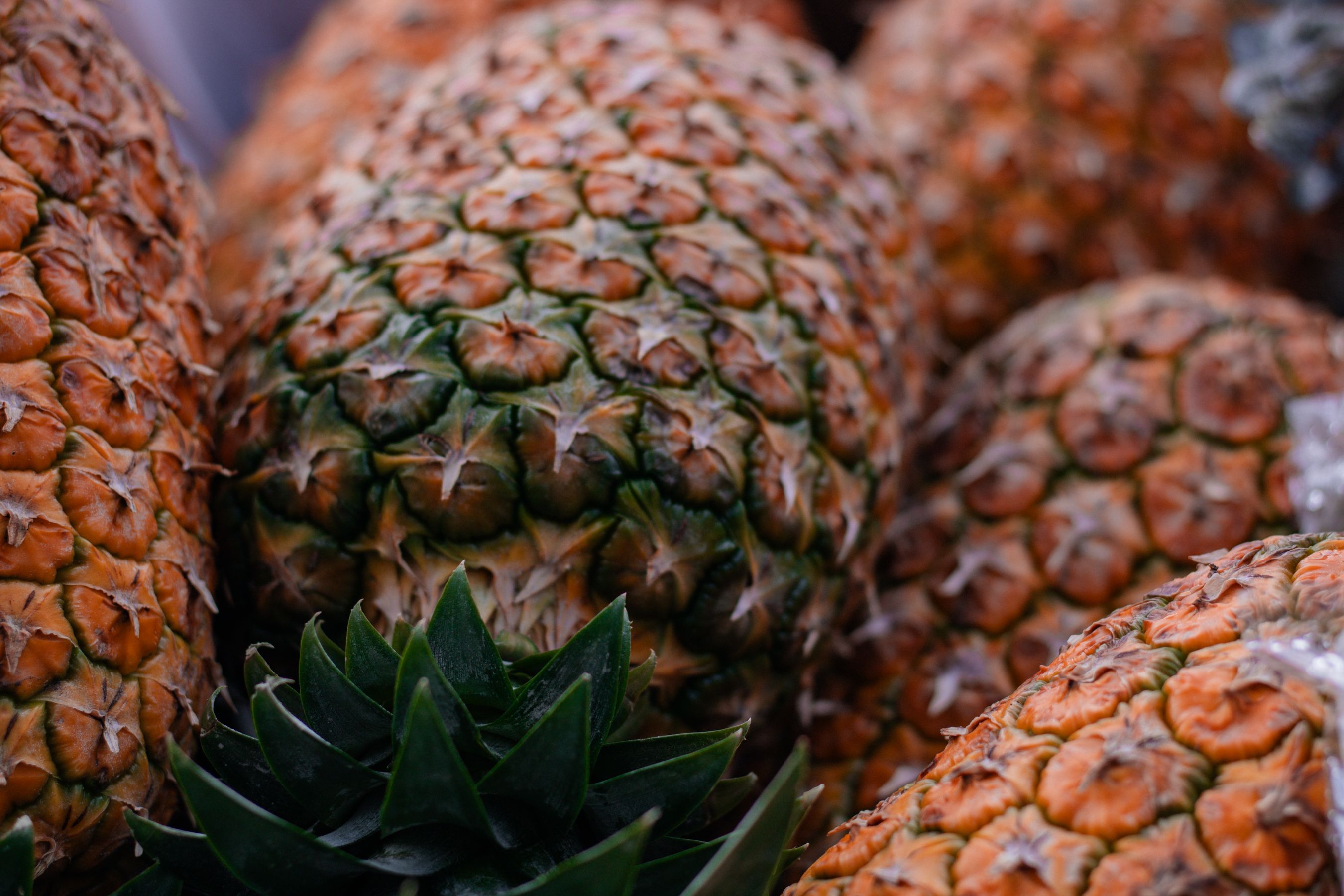 Craft and Souvenir Shopping — Antigua travel guide photo