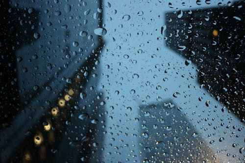 Δωρεάν στοκ φωτογραφιών με macro, βρεγμένος, βροχερός Φωτογραφία από στοκ φωτογραφιών