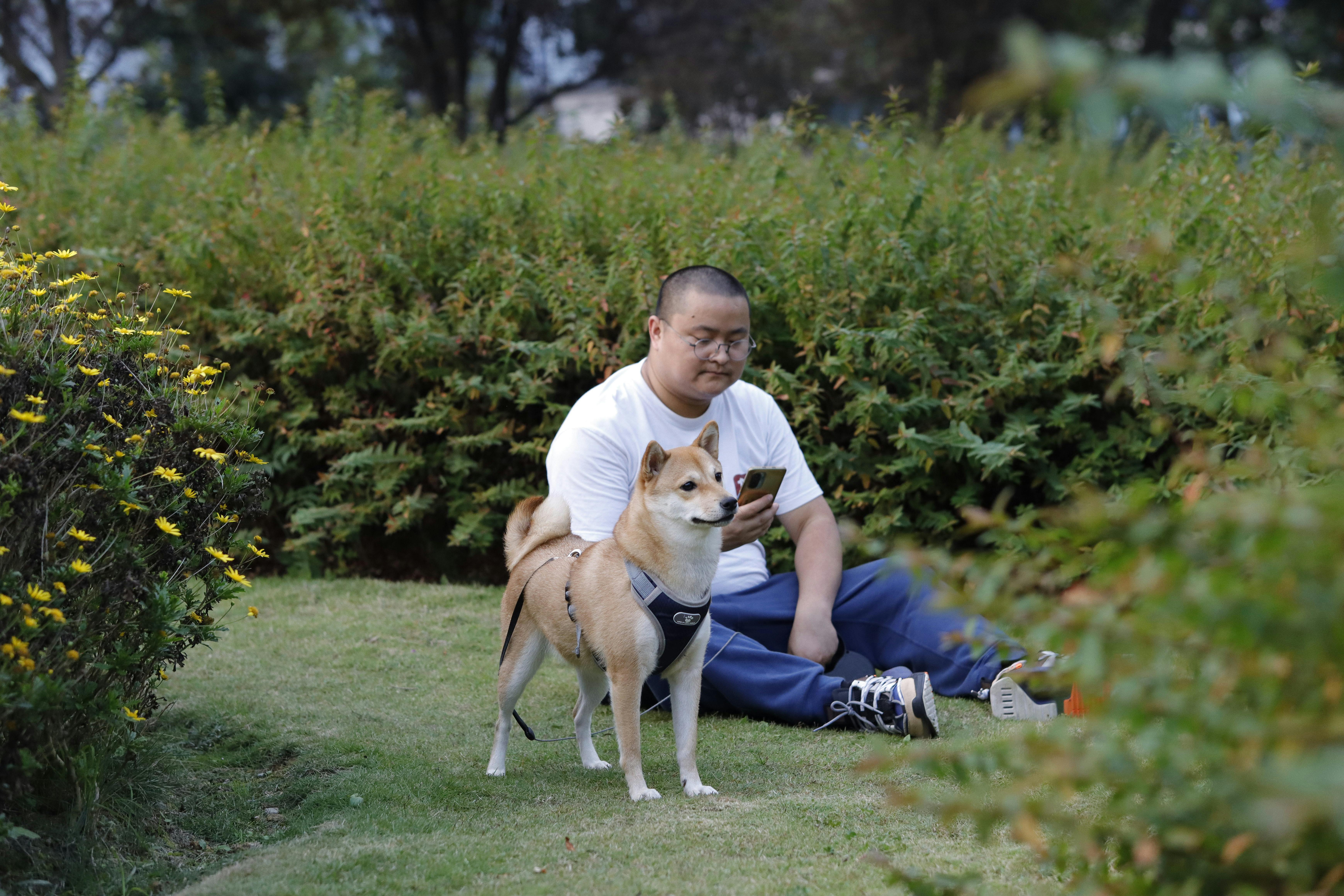 pet technology pet refine technology — Photo by ferry chenille on Pexels