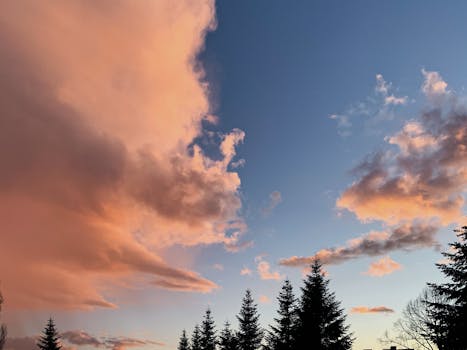 从低角度仰望日落天空的壮观景色，粉红色的云彩笼罩着云杉
