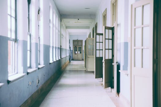 Free stock photo of building, school, window, ceiling