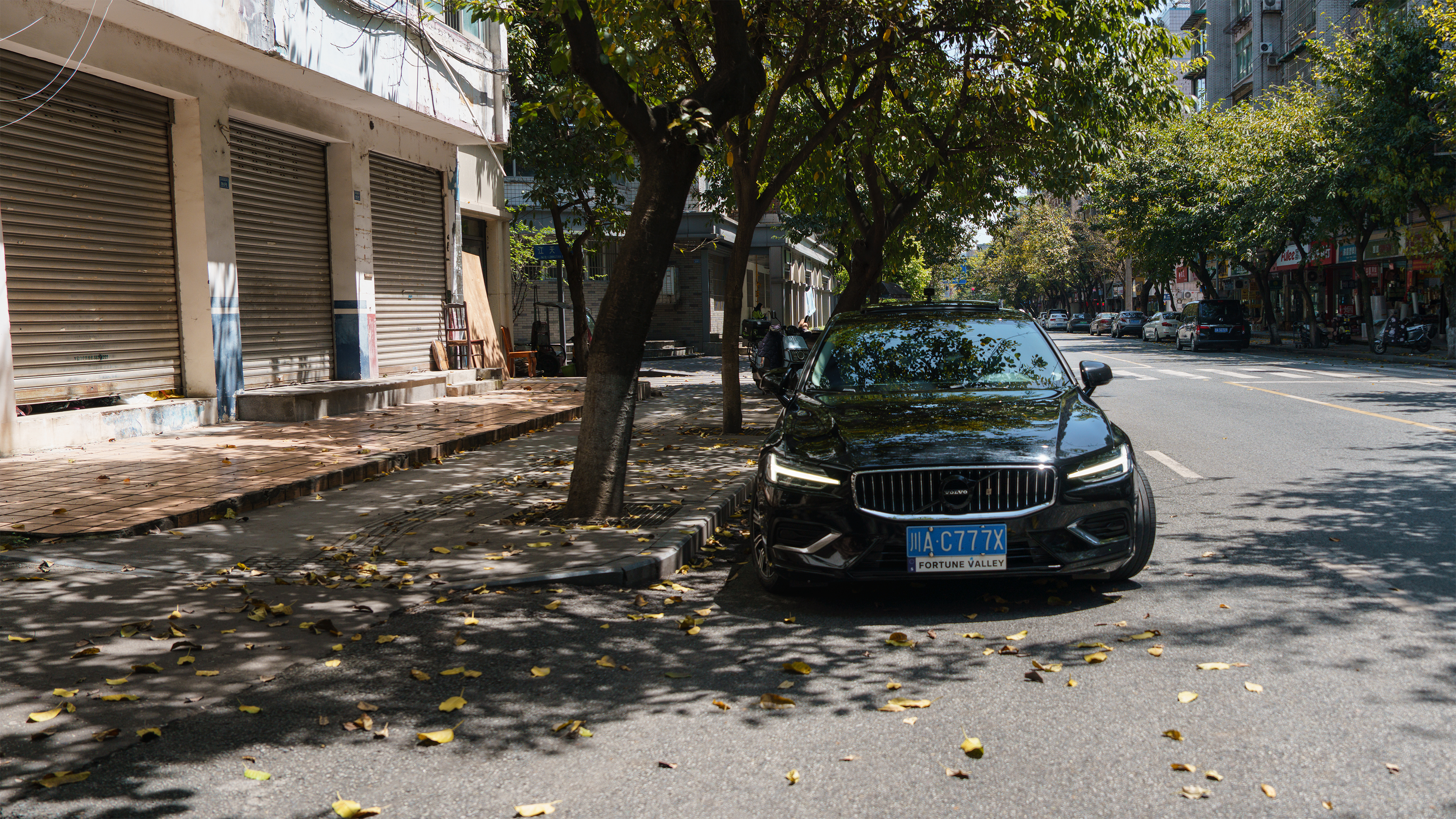 Volvo parked under tree in city street · Free Stock Photo