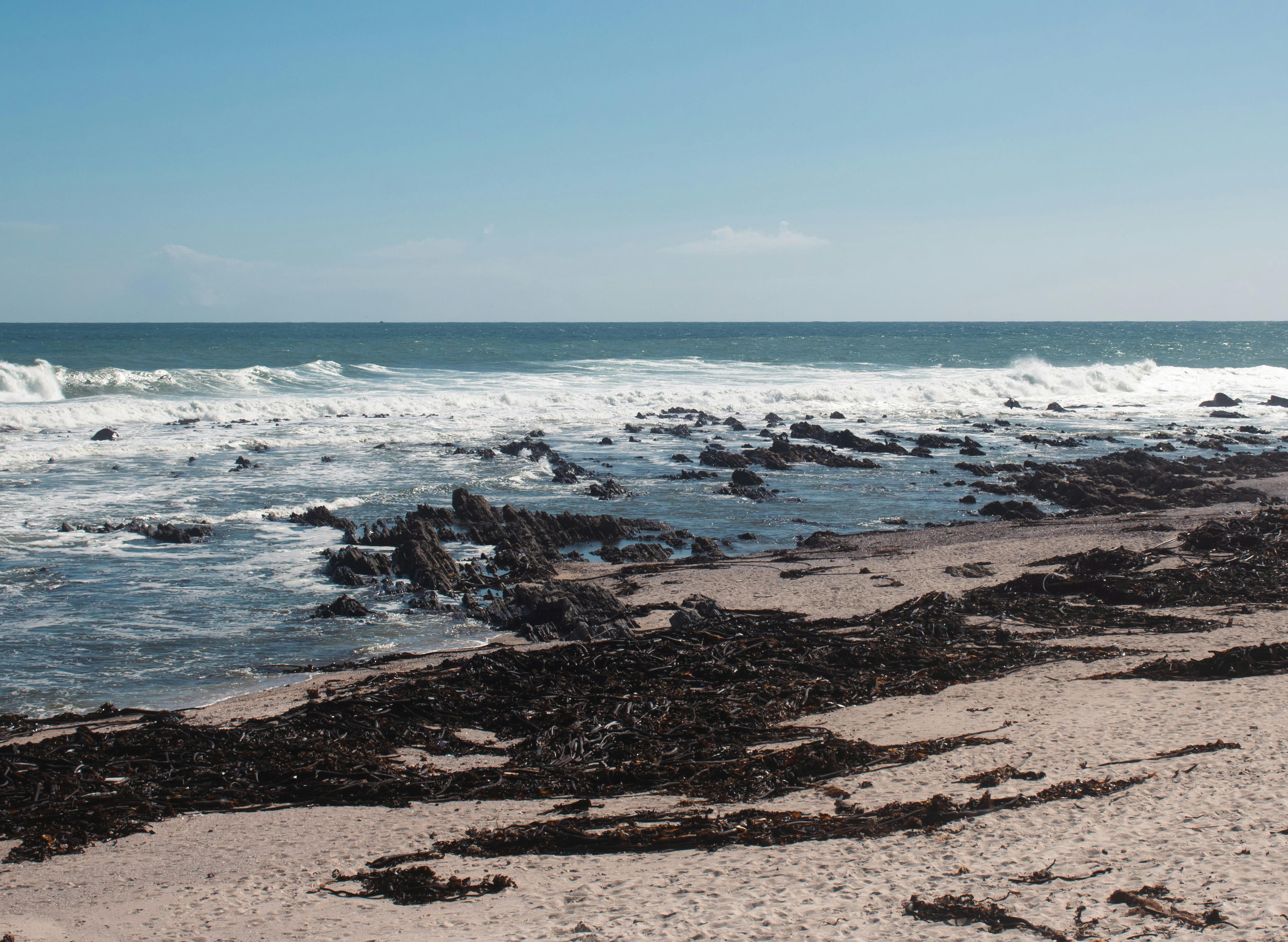 New Jersey Department of Environmental Protection | Sea Level Rise — Photo by Mimi on Pexels