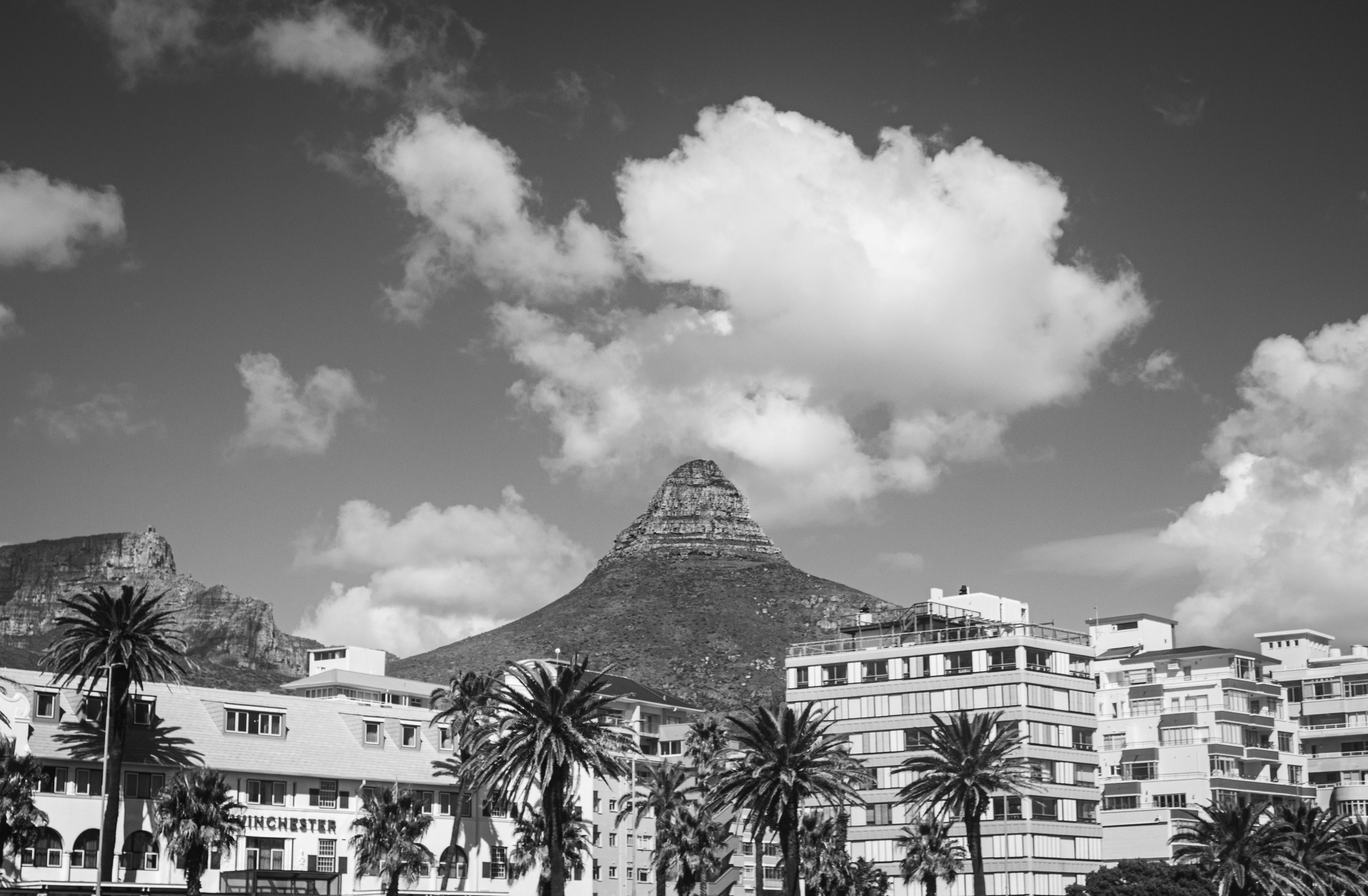 Where to Buy Original Art Cape Town: Your Ultimate Guide